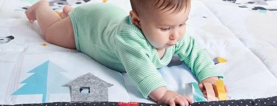 Tiny Love Supermat Speelmat - Magical Tales - Zwart/Wit 43 Tiny Love Supermat Speelmat - Magical Tales - Zwart/Wit - Afbeelding 41