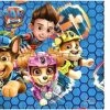 Paw Patrol Foam Puzzelmat