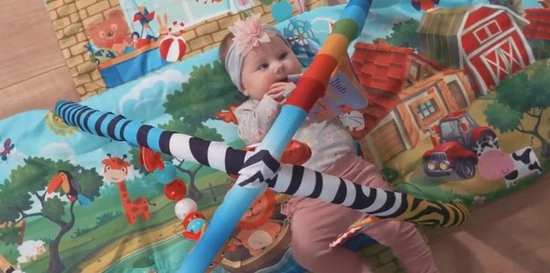 Lionelo Agnes Plus - Speelkleed - 2in1 - Speelgoed - Zeer Grote Afmeting 11 Lionelo Agnes Plus - Speelkleed - 2in1 - Speelgoed - Zeer Grote Afmeting - Afbeelding 9