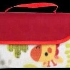 Fisher-Price Speelkleed Of Picknickkleed
