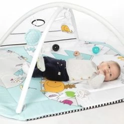 Tryco 5-in-1 Lovely Park Ball Play Activity Gym Speelkleed TR-140202 19 Tryco 5-in-1 Lovely Park Ball Play Activity Gym Speelkleed TR-140202 -Exporteren speelkleden winkel 550x348