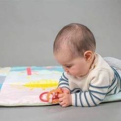 Taf Toys Speelmat XL Koala Daydream 150 X 100 Cm 12 Taf Toys Speelmat XL Koala Daydream 150 X 100 Cm -Exporteren speelkleden winkel 550x367 32