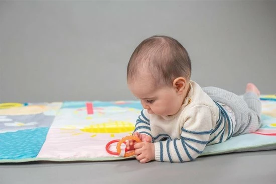 Taf Toys Speelmat XL Koala Daydream 150 X 100 Cm 7 Taf Toys Speelmat XL Koala Daydream 150 X 100 Cm - Afbeelding 5