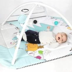 Tryco 5-in-1 Lovely Park Ball Play Activity Gym Speelkleed TR-140202 29 Tryco 5-in-1 Lovely Park Ball Play Activity Gym Speelkleed TR-140202 -Exporteren speelkleden winkel 550x382 3