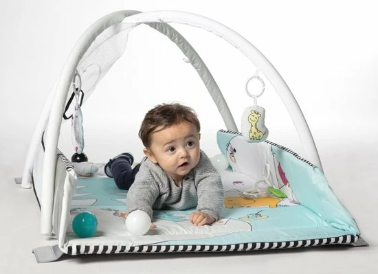 Tryco 5-in-1 Lovely Park Ball Play Activity Gym Speelkleed TR-140202 4 Tryco 5-in-1 Lovely Park Ball Play Activity Gym Speelkleed TR-140202 - Afbeelding 2