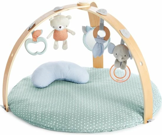 Bright Starts Ingenuity Speelkleed - Babygym - Activiteiten Gym - Cozy Spot - Speeltapijt Baby - Houten Boog 18 Bright Starts Ingenuity Speelkleed - Babygym - Activiteiten Gym - Cozy Spot - Speeltapijt Baby - Houten Boog - Afbeelding 16