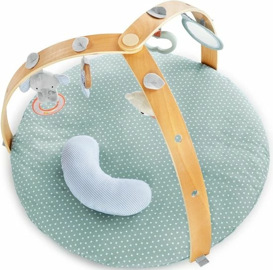 Bright Starts Ingenuity Speelkleed - Babygym - Activiteiten Gym - Cozy Spot - Speeltapijt Baby - Houten Boog 22 Bright Starts Ingenuity Speelkleed - Babygym - Activiteiten Gym - Cozy Spot - Speeltapijt Baby - Houten Boog - Afbeelding 20