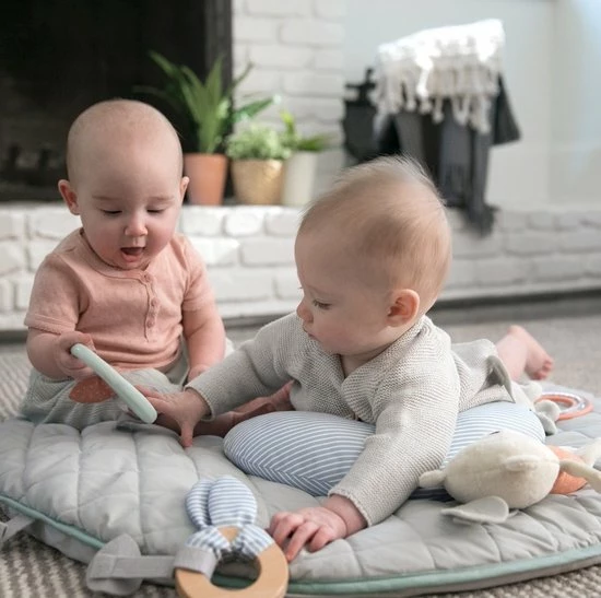 Bright Starts Ingenuity Speelkleed - Babygym - Activiteiten Gym - Cozy Spot - Speeltapijt Baby - Houten Boog 11 Bright Starts Ingenuity Speelkleed - Babygym - Activiteiten Gym - Cozy Spot - Speeltapijt Baby - Houten Boog - Afbeelding 9