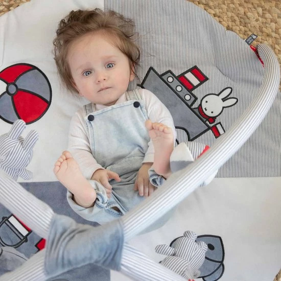 Nijntje - Baby Speelkleed Met Boog - Fun At Sea - 0/6 Maanden 11 Nijntje - Baby Speelkleed Met Boog - Fun At Sea - 0/6 Maanden - Afbeelding 9
