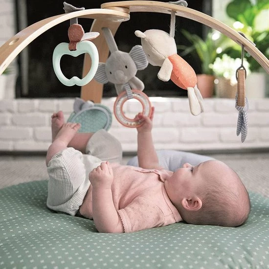 Bright Starts Ingenuity Speelkleed - Babygym - Activiteiten Gym - Cozy Spot - Speeltapijt Baby - Houten Boog 5 Bright Starts Ingenuity Speelkleed - Babygym - Activiteiten Gym - Cozy Spot - Speeltapijt Baby - Houten Boog - Afbeelding 3