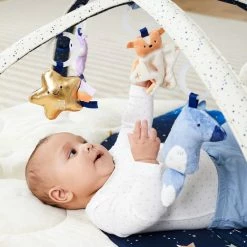 Skip Hop Celestial Dreams Activity Gym -Exporteren speelkleden winkel 550x687 3