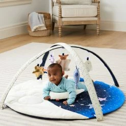 Skip Hop Celestial Dreams Activity Gym -Exporteren speelkleden winkel 550x687 5